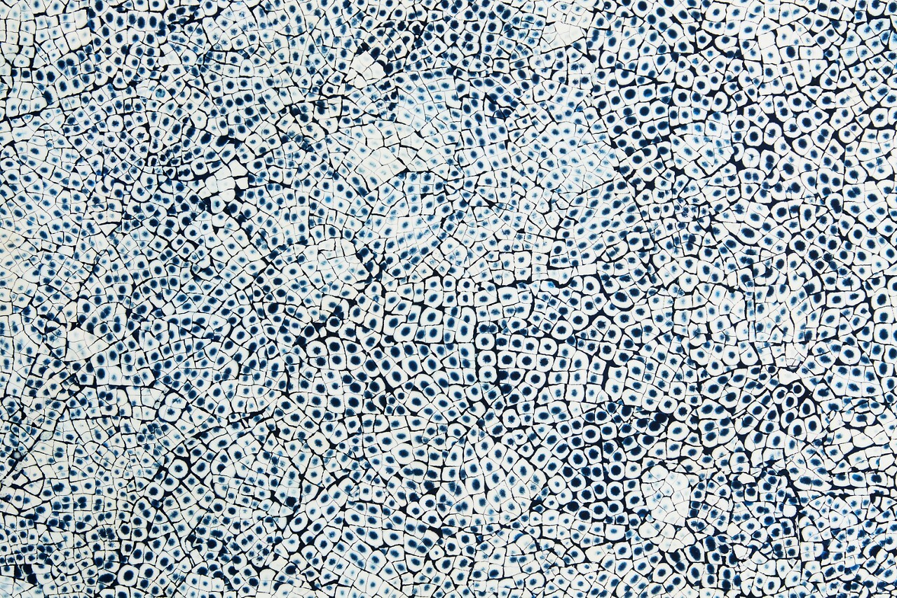 JennAir JBWESAPPH18 Elements Collection Eggshell Snakeskin Sapphire Custom Wine Column Panel (18")