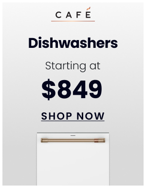 Café Dishwashers